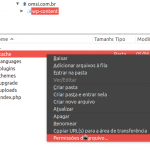 liberar permissao de escrita na pasta cache